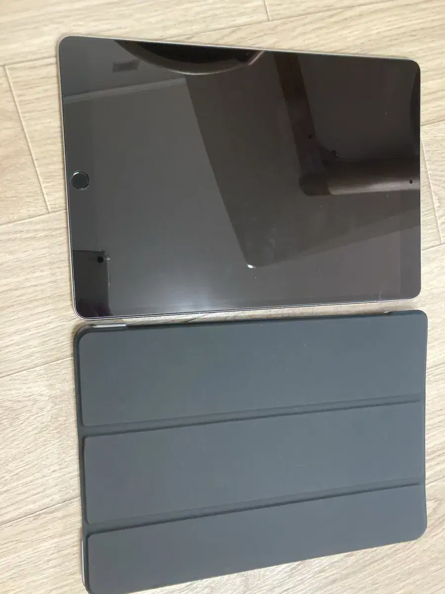 iPad Pro 10.5 256GB cellular 스페이스 그레이 팜